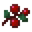 sweet_berries is not found