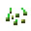 wheat_seeds is not found