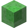 slime_block is not found